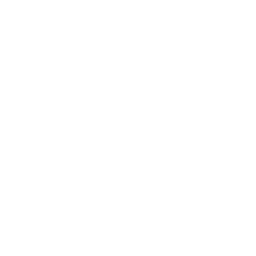 Day Tours