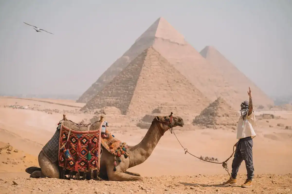 3-Day Cairo & Luxor Tour by Flight-Pyramids & Ancient Temples