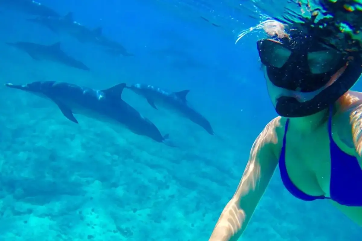 Ab Hurghada: Delfinbeobachtungstour mit Schnorcheln