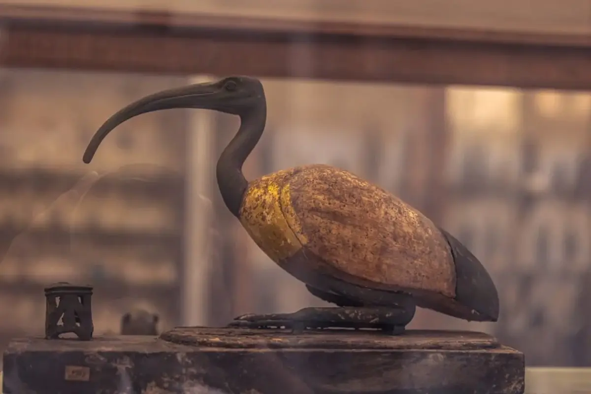 From Hurghada: Day Trip to Cairo by Plane