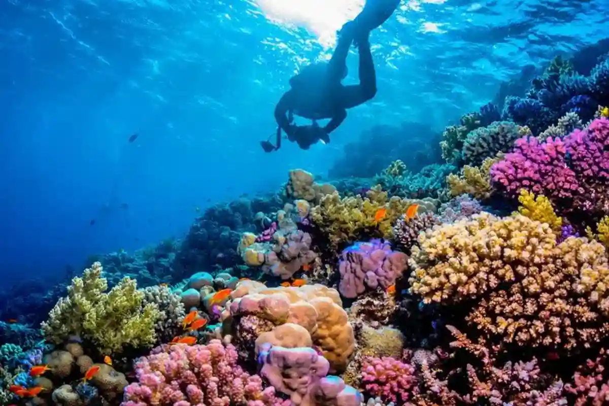 Hurghada: The Ultimate Guide to Egypt's Red Sea Paradise