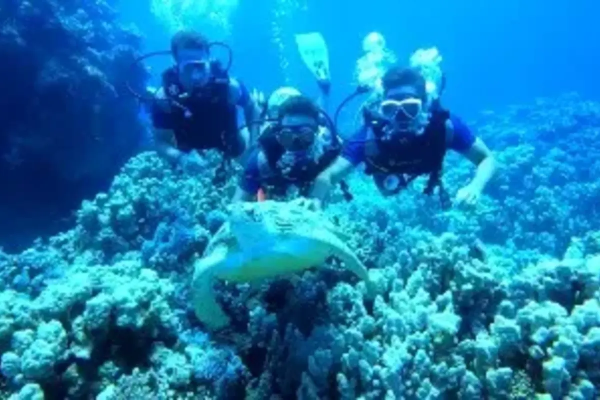 6-tägige Ägypten-Rundreise – Kairo, Rotes Meer & Luxor