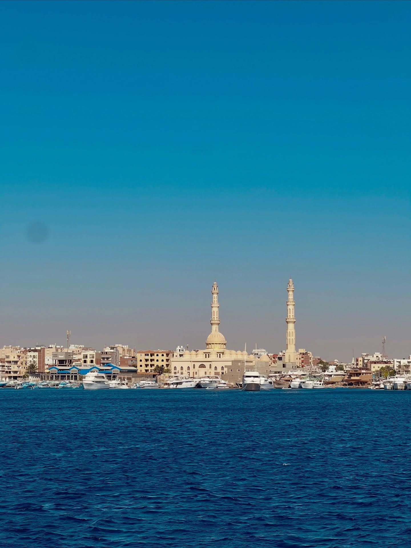 Hotel & Cruise Bookings