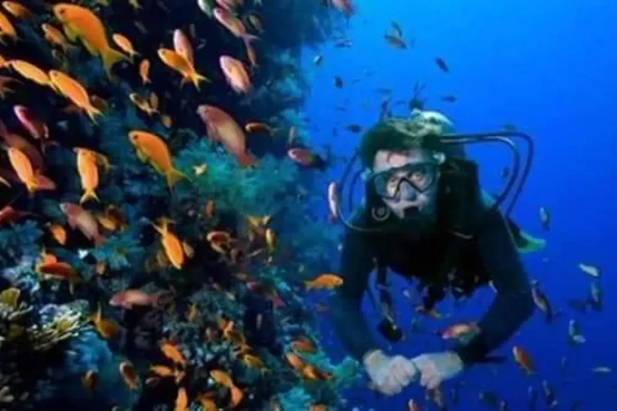 Excursion plongée sous-marine et avec tuba, déjeuner inclus, au départ d'Hurghada