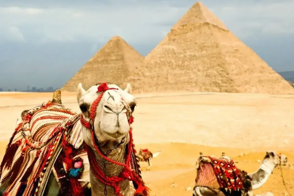 Circuit de 6 jours en Égypte – Le Caire, la mer Rouge et Louxor
