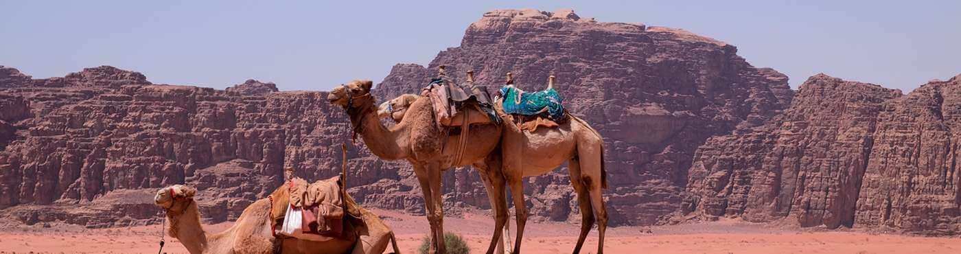 Egypt tours and Nile Cruises
